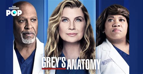 grey's anatomy พากย์ไทย|ถอดรหัส Grey’s Anatomy: ทำไม  .
